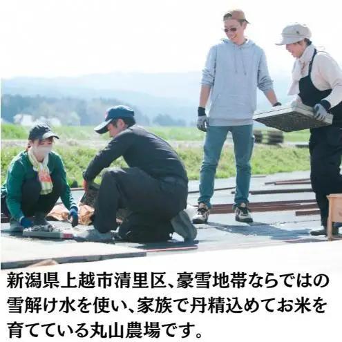 隔月5ヶ月定期便 令和8年 新潟県産 特別栽培米 コシヒカリ 5kg 5キロ（5回配送 計25kg） 11月配送開始 上越市 清里区 丸山農場 精米 従来品種 希少 こしひかり 限定 送料無料