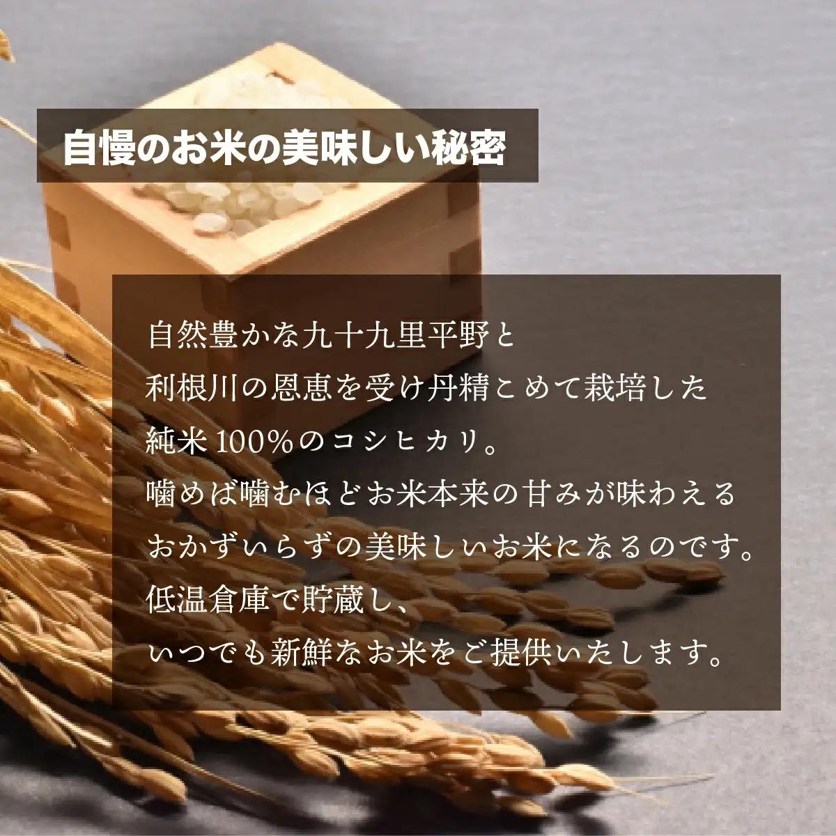 【令和8年産】千葉県 大網白里市産 コシヒカリ 10kg（10kg×1袋） お米 10kg 千葉県産 大網白里市 コシヒカリ 米 精米 こめ 送料無料 J001