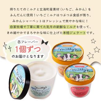 松本牧場アイス定期便（12個入り×3回） ～本格ジェラート＆シャーベット～