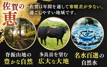 【全6回定期便】佐賀の肉 普段使いセット（佐賀牛・肥前さくらポーク） [HAM080]黒毛和牛 牛肉 豚肉 しゃぶしゃぶ用 肉