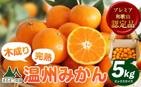 木成り完熟 温州みかん 5kg みかん