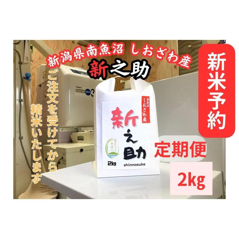 【令和8年産・新米予約・定期便】新潟県南魚沼産　新之助　2kg×６か月　大粒でツヤがあるこれまでにないお米【定期便 銘柄米 ブランド米 精米 新之助 魚沼産 新潟米】【2026年10月中旬より1ヶ月以内に順次発送予定】