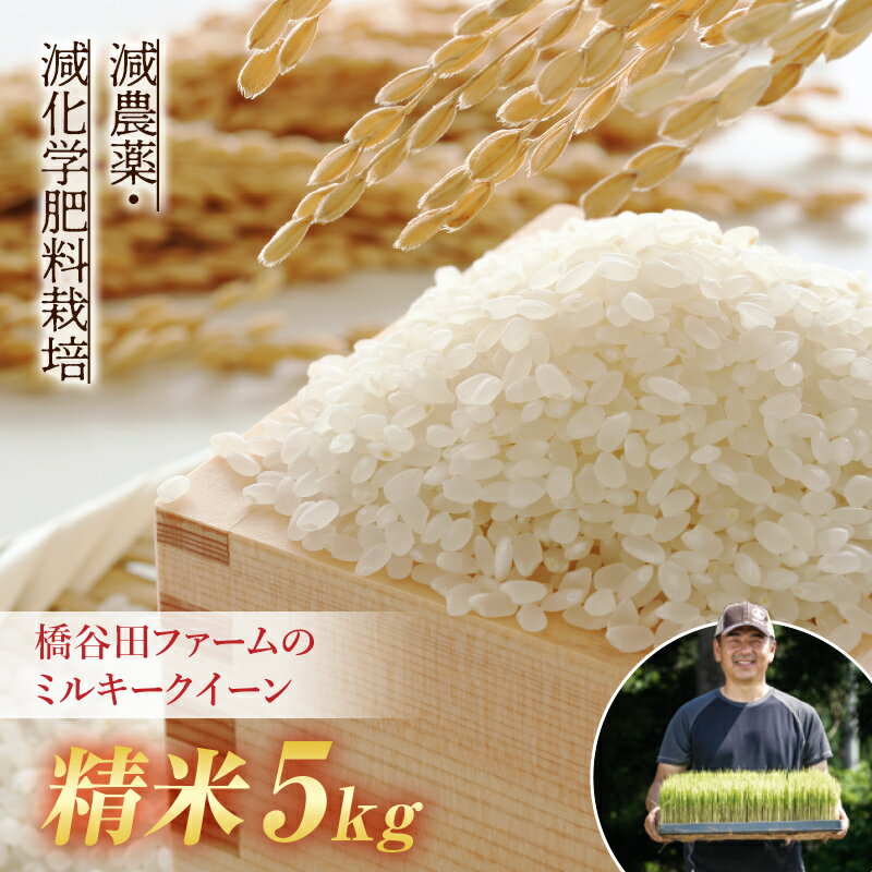 【ふるさと納税】【先行予約】《選べる精米方法・定期便》 減農薬・減化学肥料栽培 西会津産米 ミルキークイーン 精米 / 無洗米 5kg 米 お米 おこめ ご飯 ごはん 福島県 西会津町 F4D-2244var
