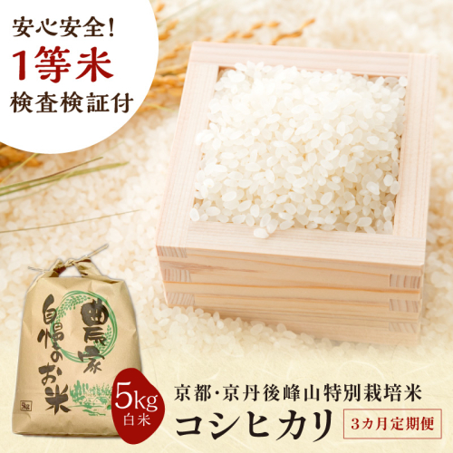 【3ヶ月定期便】2026年産 京都・京丹後峰山 特別栽培米コシヒカリ 5kg 【白米】 1等米 検査済証付　お米 精米 お弁当 おにぎり 京都府産 白米 特別栽培 一等米 ふるさと納税 米 定期便 生産者応援 農家応援
