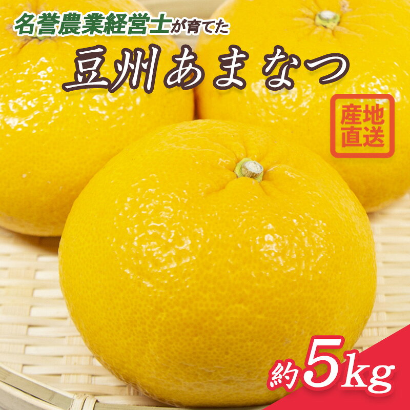 【ふるさと納税】 豆州 あまなつ 約 5kg 【 2027年2月中旬より 順次発送 】 静岡県産 産地直送 甘夏 スルガエレガント 柑橘 フルーツ 果物 数量 限定 沼津市 はらみかん 農園