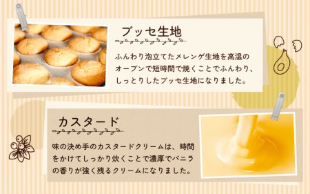 ふわふわブッセ 「ヌーブ」 5種 × 各2個 （計10個入） カスタード 苺 バナナ チョコレート コーヒー【スイーツ 人気】 [e46-a001]