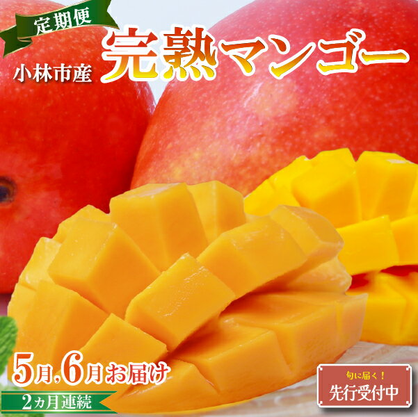 【ふるさと納税】【先行予約！マンゴー定期便・全2回】小林市産「完熟マンゴー」コース(5月,6月）定期便 フルーツ フルーツ定期便 2026 マンゴー 先行予約 宮崎 果物 人気