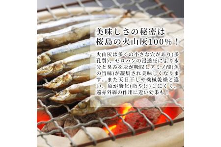 ＜高級手作り干物＞桜島灰干し詰め合わせ 鹿児島県湧水町産にじますの他、季節のお魚を計6袋お届け！ 干物 魚 焼き魚 おかず 晩御飯 晩ごはん 朝食 朝ごはん 朝ご飯 和食 にじます ニジマス 保存料無