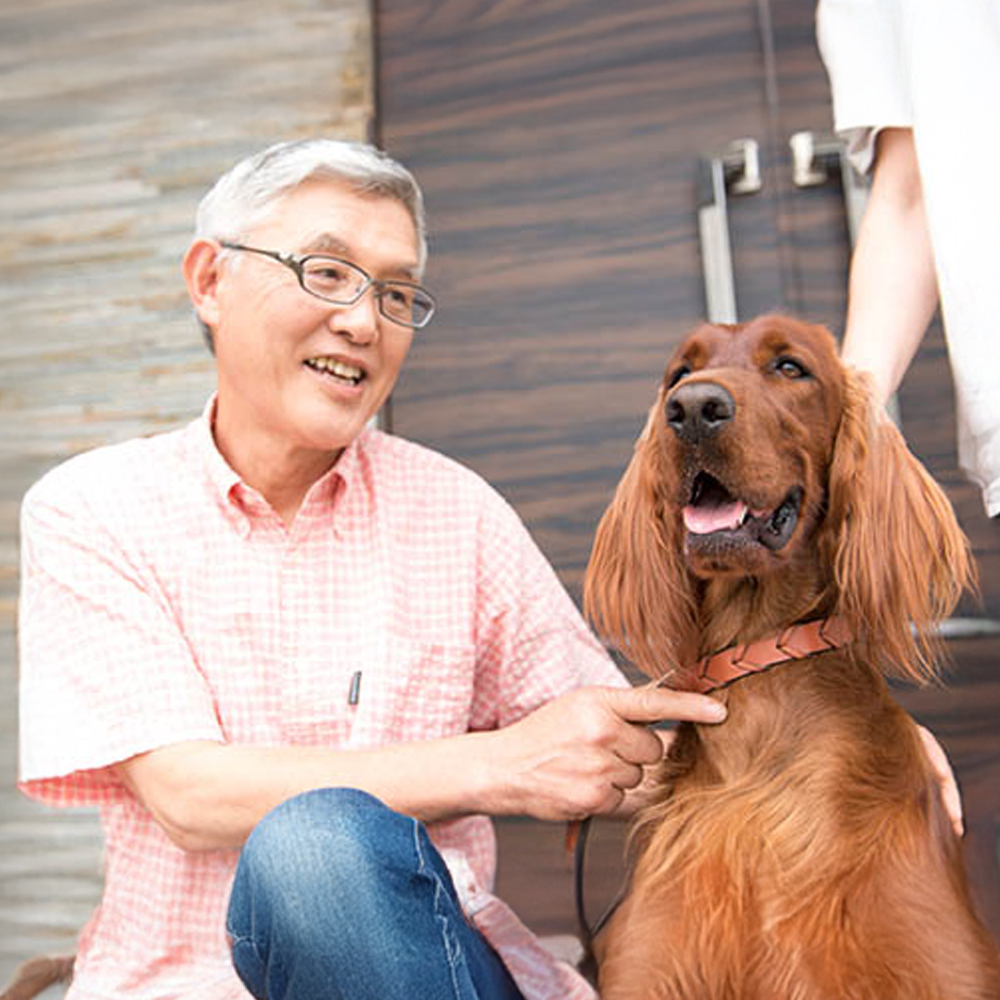 アニマルペットシータラクト 60カプセル入り×2箱│サプリメント 健康 健康食品 ペット 犬猫用 免疫 関節 腰 ビタミン 乳酸菌 三重県 四日市市 四日市 ふるさと納税_イメージ3