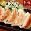 【ふるさと納税】 熊本 和牛 あか牛 ぎょうざ セット 20個入り×2箱 合計40個 餃子 生餃子 惣菜 おかず 中華 点心 焼くだけ 赤牛 熊本県産 国産 冷凍 送料無料