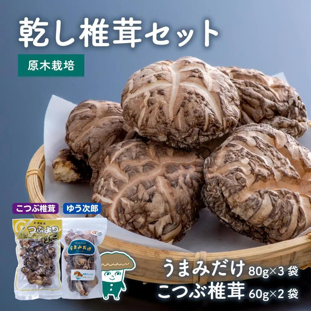 乾し椎茸セット【大分県新ブランドうまみだけ80g×3袋、こつぶ椎茸60g×2袋】|豊後高田市 しいたけ