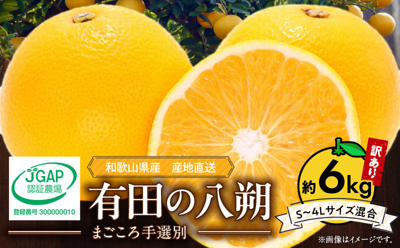 
            ZE6167n_【2026年先行予約】有田の八朔 (はっさく)【訳あり　家庭用】6kg　(S～4Lサイズ混合)　まごころ手選別
          
