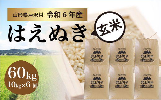 ＜令和6年産米受付　配送時期指定可＞　はえぬき【玄米】60kg定期便(10kg×6回)　戸沢村