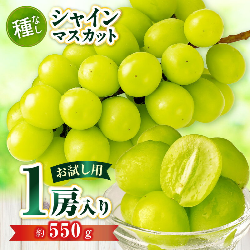 【ふるさと納税】【お試し用】シャインマスカット　約550g | シャインマスカット マスカット ぶどう ブドウ 葡萄 果物 フルーツ 新鮮 くだもの 国産 ギフト お裾分け 旬 人気 種なし 皮ごと食べられる ジューシー 糖度が高い 季節限定 おすすめ 旬の果物 香川 香川県 三木町