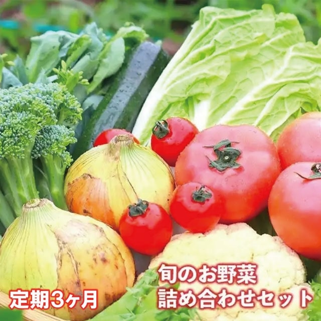 【定期便/3か月】注文が来てから農家さんに連絡！ 収穫したばかりの新鮮野菜セット《10点以上保証付き！！》