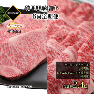 黒毛和牛 定期便 6回発送 サーロインステーキ 約400g ×3回  黒毛和牛