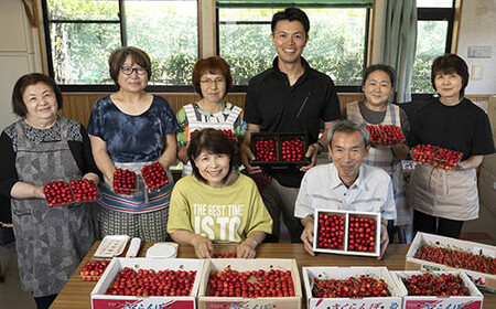 《先行予約》2026年 令和8年産 山形県産 さくらんぼ 佐藤錦 バラ詰 500g 秀 M～L ※沖縄・離島への配送不可  F20A-896