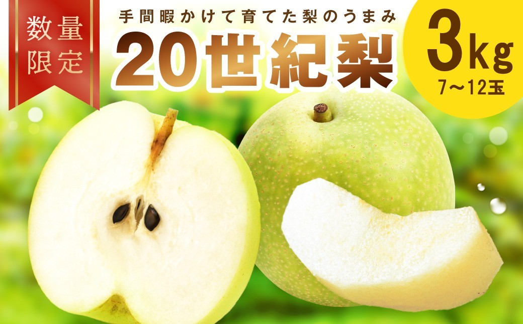 
                  【先行予約／数量限定100】廿世紀梨 3kg（2026年9月上旬～発送）　フルーツ くだもの 国産 梨 二十世紀 20世紀 廿世紀 ふるさと 納税 梨 ふるさと納税 フルーツ ふるさと 納税 20世紀梨　FK00033
                