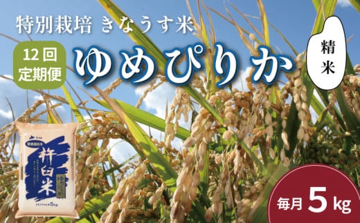 【精米12ヶ月定期便】特別栽培「きなうす米」ゆめぴりか5kg×12回　P010