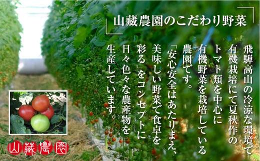 【2024年夏 先行予約】（6月中旬から順次発送予定）飛騨高山産 有機栽培トマト「彩りトマト」 2kg ミディトマト ミニトマト 詰合せ ミックス 樹熟 5種類以上 食べ比べ 野菜 山藏農園 飛騨高山