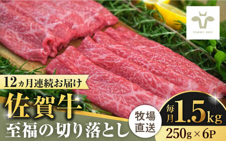 【全12回定期便】佐賀牛切り落とし 計18kg（250g×6袋×12回）/ 佐賀牛 牛肉 切り落とし ロース モモ カタ バラ 赤身 すき焼き しゃぶしゃぶ 小分け 定期便 / 佐賀県 / 佐賀セントラル牧場 [41ASAA028]