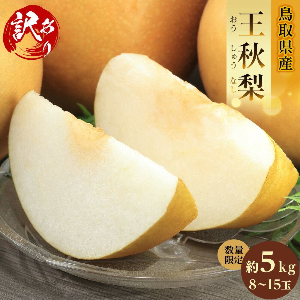 【ふるさと納税】鳥取県産 梨 王秋梨 約5kg （7～15玉） 訳あり 数量限定 | 鳥取県産 訳あり 梨 王秋梨 王秋 おうしゅうなし 和梨 数量限定 カロリー なし 果物 フルーツ くだもの 栄養 効能 ビタミン おすすめ 人気 送料無料 鳥取県 琴浦町