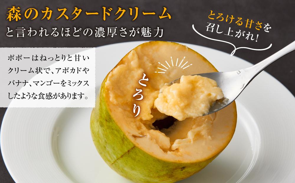【2025年9月中旬頃より発送】ポポー 約1kg【受取日事前打合せ可能な方限定】【配送不可：離島】幻の果実 レア フルーツ ポポー 健康 美容 美肌 ファーム池の沢 静岡市