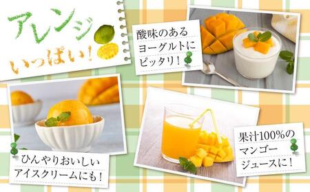 【先行受付】【2024年発送】キーツマンゴー 南城市 約1.5kg (1～2玉)