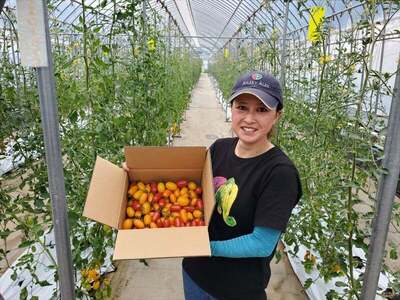 『至極のトマト甘酒』715ml（沖縄・離島は配送不可）長野県　信州　佐久市　トマトジュース　無農薬　完熟トマト　フルーツミニトマト