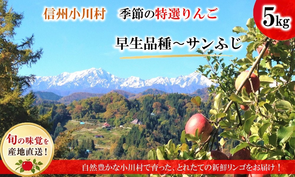 
                  311＊信州小川村成就地区限定季節の特選りんご５キロ（早生品種りんご～サンふじりんご）
                