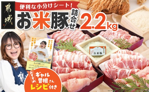 
                  【お届け時期を選べます】お米豚2.2kgセット_14-3101-S2026_(都城市) 豚肉 豚ロース 豚こま切れ 豚バラ肉 豚肩ロース ブランド豚 小分け スライス肉  ギャル曽根さんおすすめの豚肉返礼品
                