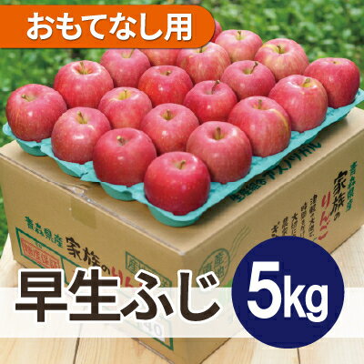 【ふるさと納税】【2026年10月から順次発送予定】平均糖度12度以上! 早生ふじ 約5kg おもてなし用【配送不可地域：離島・沖縄県】【1607478】
