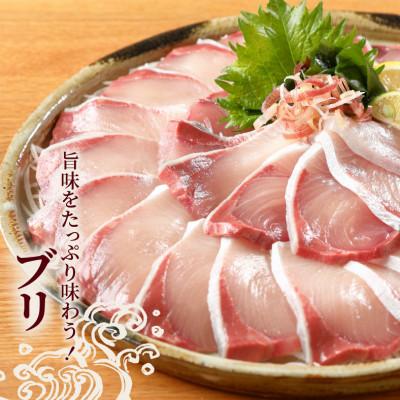 ふるさと納税 延岡市 延岡産活〆ブリのお刺身400g〜550g |  | 01