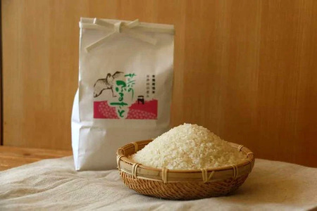 特別栽培米〈コシヒカリ〉10kg ≪米 お米 白米 ご飯 栃木県産≫ ※2026年9月～発送