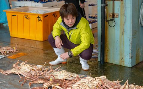 茹で越前ガニ【期間限定】食通もうなる本場の味をぜひ、ご堪能ください。越前ガニ 約900g＋セイコガニ3杯 越前がに 越前かに 越前カニ カニ ボイルガニ