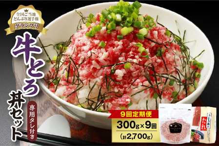 【9回定期便】人気の牛とろ丼セット 300g 専用タレ付き【定期便 牛とろ丼 セット 牛とろフレーク 15人前 300g ぎゅうとろ 牛肉 牛トロ フレーク 15食分 ご飯にかけるだけ】_S006-0147