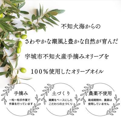 ふるさと納税 宇城市 オリーブオイル 「不知火海の恵み」(137g×2本)熊本県宇城市産 |  | 03