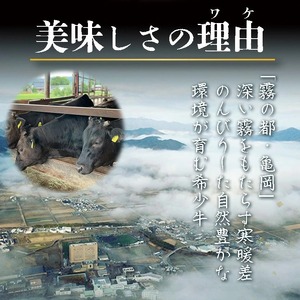 【全6回定期便】亀岡牛 定期便 亀岡牛専門店が厳選 お楽しみ 食べ比べ セット ≪冷凍 焼肉 すき焼き サーロイン ステーキ ローストビーフ 赤身 もも 肉 牛肉 国産牛 黒毛和牛 肉定期便 京都 丹