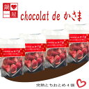 【ふるさと納税】Chocolat de かさま おかしな果実ショコラ 完熟とちおとめの詰め合わせ