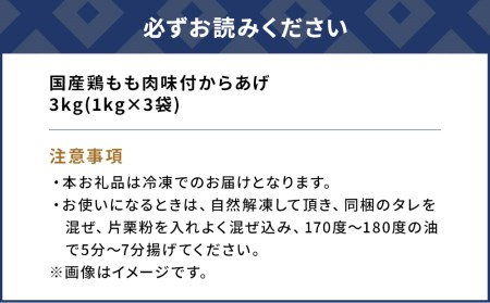 唐揚げ 1kg×3袋(合計3kg）からあげ屋 鳥いちのから揚げ 弁当 おかず お惣菜 大分県産 九州産 津久見市 国産【tsu000902】