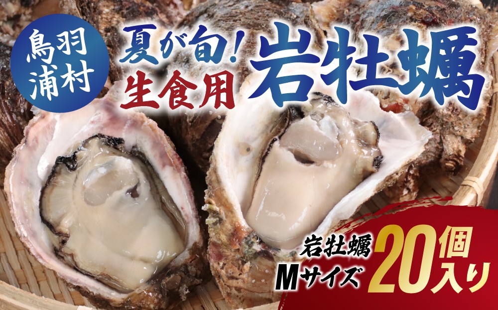 
                  【夏が旬！期間限定 】【8月1日に受付終了】32-03生食用岩牡蠣（大福牡蠣）Mサイズ20個入り 岩ガキ 生牡蠣 冷蔵 浦村牡蠣 大福牡蠣 
                