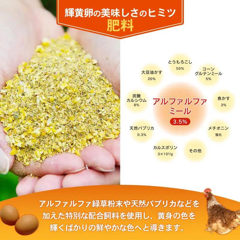 ヒラノのたまご 輝黄卵(きおうらん) 赤Mサイズ 180個 【 割れ保証込み 卵 たまご タマゴ 国産 新鮮 直送 輝黄卵 朝ごはん 卵かけごはん 福岡県 筑前町 AJ001】