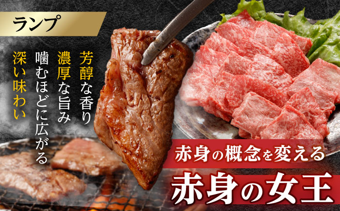 〈シャトーブリアン入り〉希少部位 焼肉 3種食べ比べセット 700g(シャトーブリアン200g・サーロイン200g・ランプ300g)  / 長崎和牛 国産 牛肉 和牛 a5 焼肉 やきにく 焼き肉用 