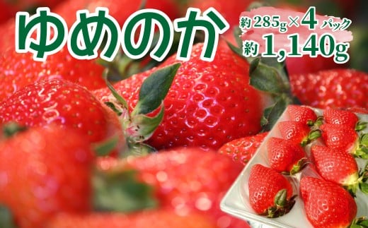 ＜2025年12月頃～2026年2月頃発送（予定）＞【ゆめのか 285g×4パック】秀品 いちご 苺 ストロベリー 贈答用 ギフト