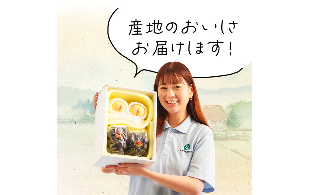 岡山県産 詰合せ/白桃2玉とニューピオーネ2房 化粧箱入り