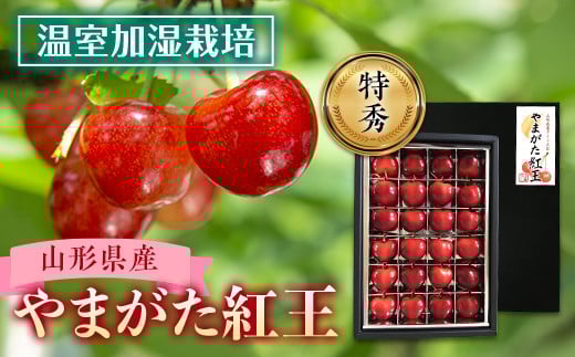 
            《2026年産先行受付》山形県産 温室加温栽培さくらんぼ【やまがた紅王】特秀品 FSY-0019
          