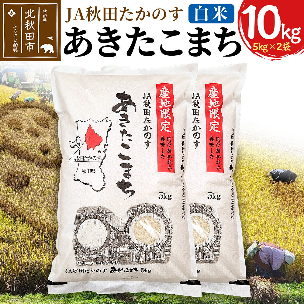 【ふるさと納税】JA秋田たかのす あきたこまち 白米10kg（5kg×2袋）10キロ お米 令和7年産 秋田たかのす農業協同組合
