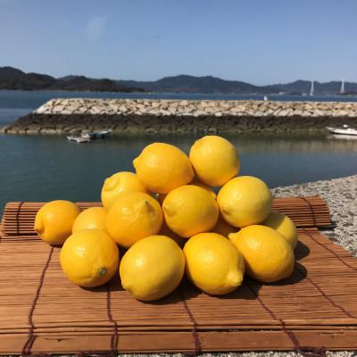 ふるさと納税 上島町 【7月出荷】　貯蔵蔵出し国産レモン約3kg(冷蔵便発送)※サイズはS玉〜2L玉のいずれか、混載