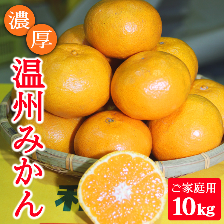 濃厚温州みかんご家庭用10kg（和歌山天田みかん）◆ みかんの産地和歌山　北村農園直送 ※2025年12月上旬頃より順次発送予定