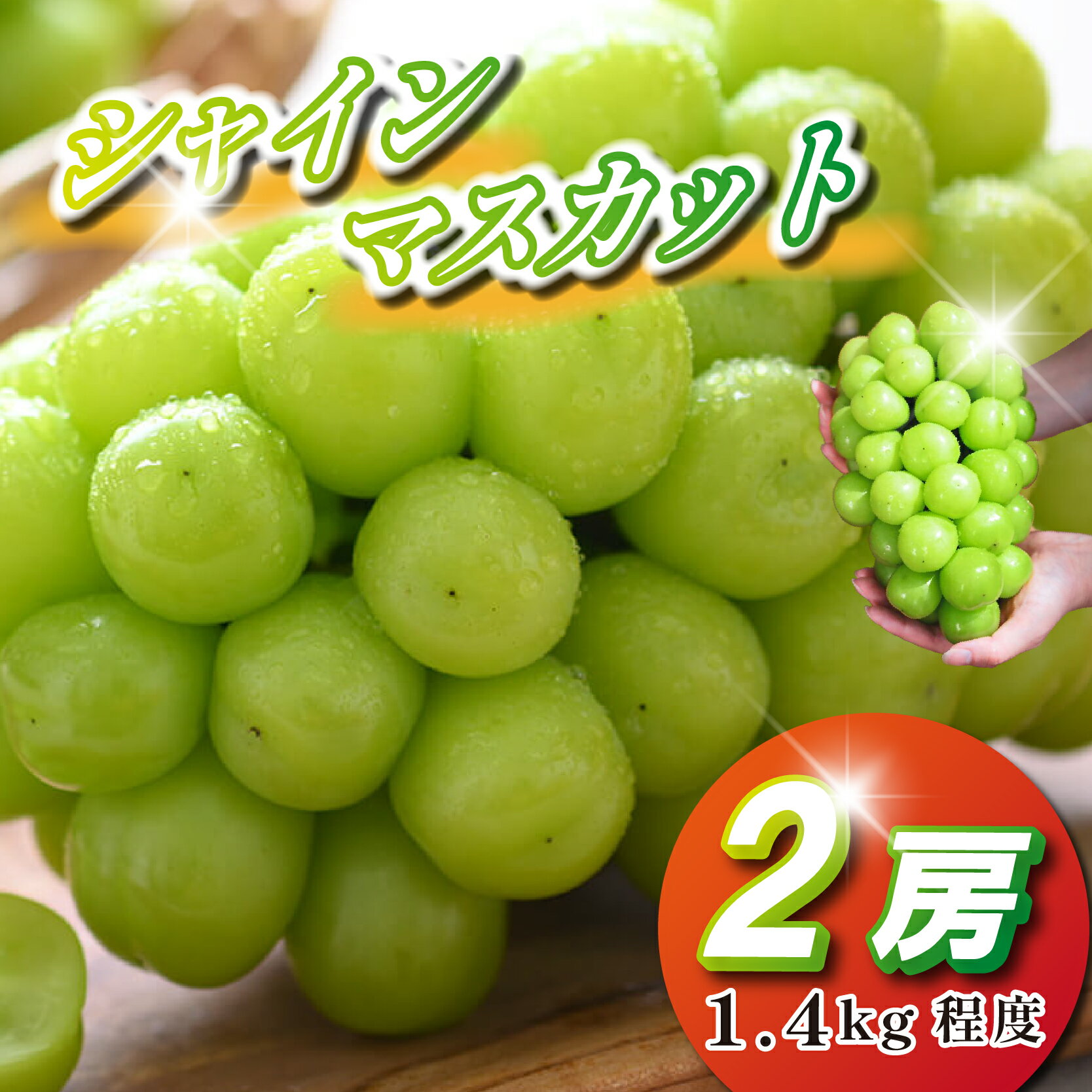 【ふるさと納税】【2026年発送 先行予約】シャインマスカット 2房 1.4kg程度（ぶどう ブドウ マスカット フルーツ 果物 先行受付 限定）